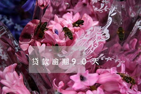 贷款逾期90天 贷款逾期90天