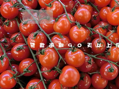 贷款逾期90天以上没还 贷款逾期90天以上没还