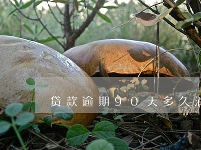 贷款逾期90天多久消除 贷款逾期90天多久消除