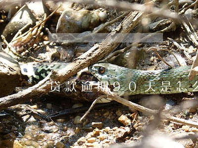 贷款逾期90天是怎么算时间的 贷款逾期90天是怎么算时间的