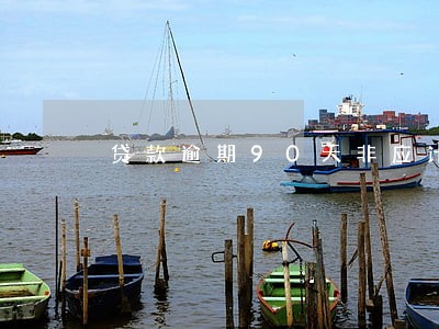 贷款逾期90天非应计 贷款逾期90天非应计