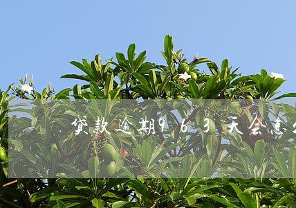 贷款逾期963天会怎么样 贷款逾期963天会怎么样