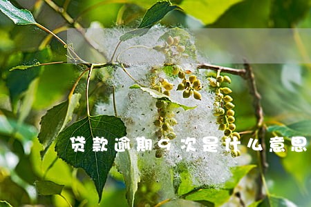 贷款逾期9次是什么意思