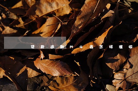 贷款逾期M4会怎样催收 贷款逾期M4会怎样催收