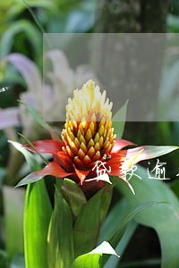 贷款逾期cm1是什么意思 贷款逾期cm1是什么意思