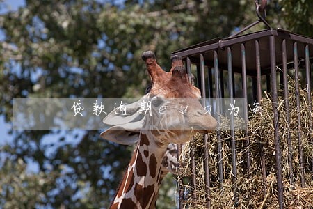 贷款逾期eva为负 贷款逾期eva为负