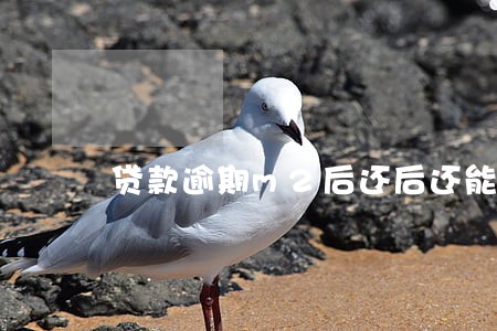 贷款逾期m2后还后还能再续贷么 贷款逾期m2后还后还能再续贷么