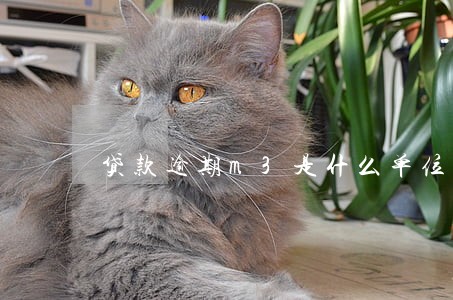 贷款逾期m3是什么单位 贷款逾期m3是什么单位