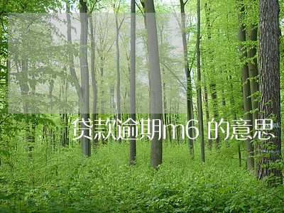 贷款逾期m6的意思 贷款逾期m6的意思