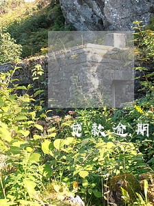 贷款逾期一两天会不会上征信 贷款逾期一两天会不会上征信