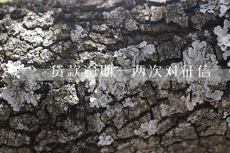 贷款逾期一两次对征信 贷款逾期一两次对征信