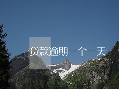 贷款逾期一个一天