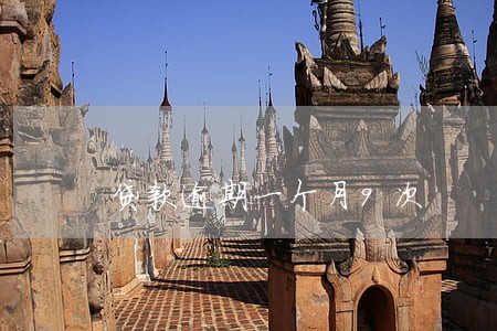 贷款逾期一个月9次