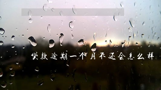 贷款逾期一个月不还会怎么样 贷款逾期一个月不还会怎么样