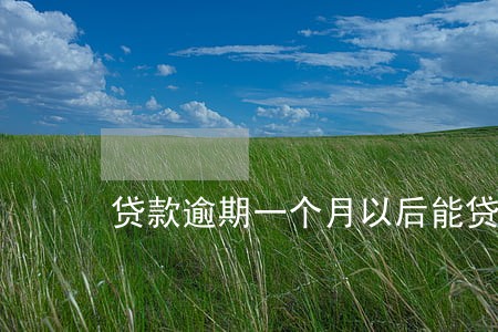 贷款逾期一个月以后能贷款 贷款逾期一个月以后能贷款