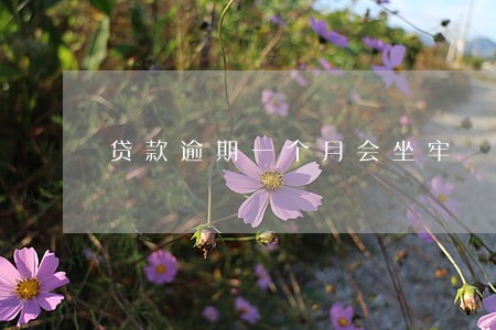 贷款逾期一个月会坐牢 贷款逾期一个月会坐牢