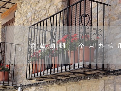 贷款逾期一个月办信用卡 贷款逾期一个月办信用卡