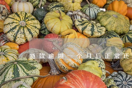 贷款逾期一个月后正常还款 贷款逾期一个月后正常还款