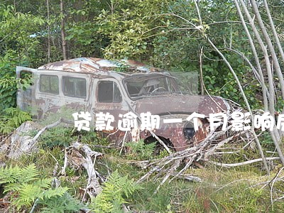 贷款逾期一个月影响房贷吗 贷款逾期一个月影响房贷吗