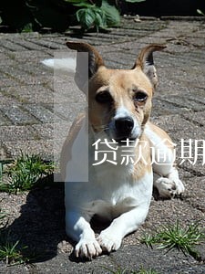 贷款逾期一个月有没影响 贷款逾期一个月有没影响