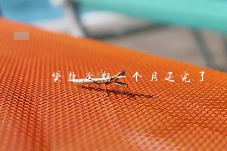 贷款逾期一个月还完了
