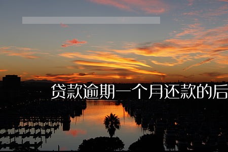 贷款逾期一个月还款的后果 贷款逾期一个月还款的后果