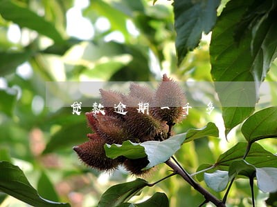 贷款逾期一千多 贷款逾期一千多