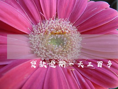 贷款逾期一天三百多 贷款逾期一天三百多
