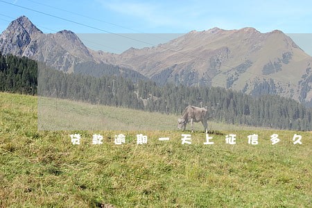 贷款逾期一天上征信多久能消除 贷款逾期一天上征信多久能消除