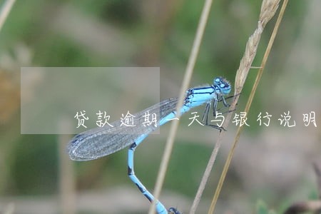 贷款逾期一天与银行说明 贷款逾期一天与银行说明