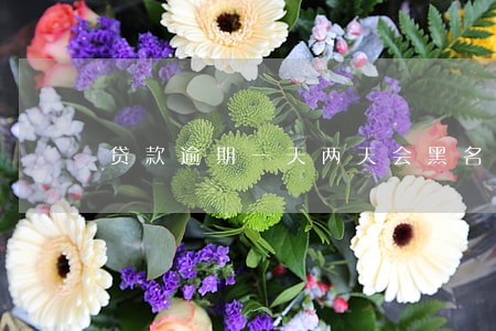 贷款逾期一天两天会黑名单吗 贷款逾期一天两天会黑名单吗