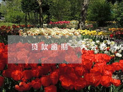 贷款逾期一天会影响信用吗6 贷款逾期一天会影响信用吗6