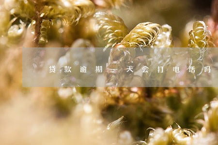 贷款逾期一天会打电话吗 贷款逾期一天会打电话吗