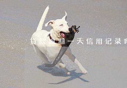 贷款逾期一天信用记录吗 贷款逾期一天信用记录吗