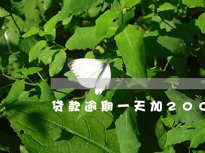 贷款逾期一天加200 贷款逾期一天加200
