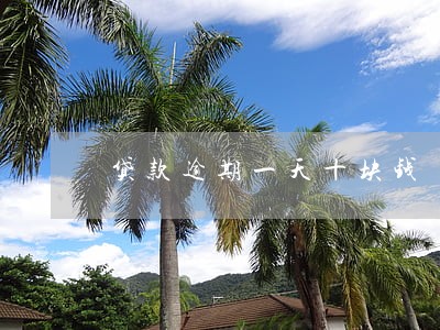 贷款逾期一天十块钱 贷款逾期一天十块钱