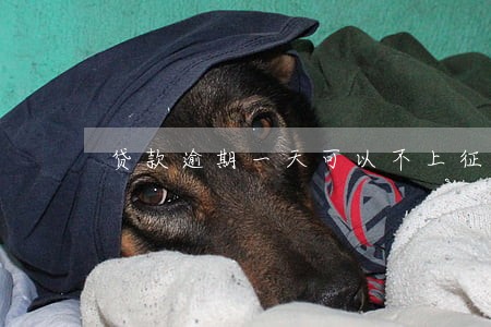 贷款逾期一天可以不上征信 贷款逾期一天可以不上征信