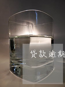 贷款逾期一天可以出国吗 贷款逾期一天可以出国吗