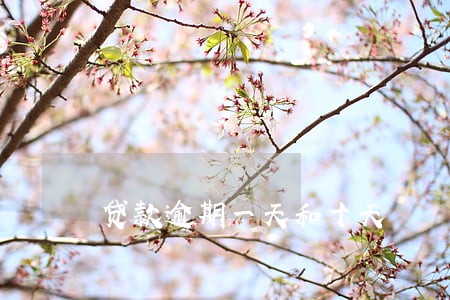 贷款逾期一天和十天 贷款逾期一天和十天
