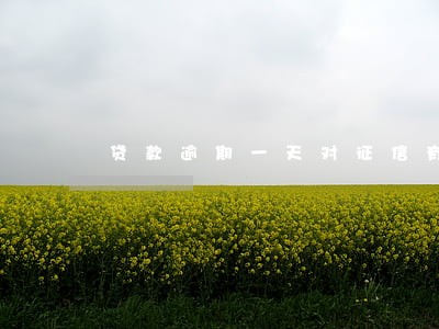 贷款逾期一天对征信有影响吗 贷款逾期一天对征信有影响吗