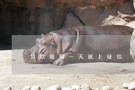 贷款逾期一天就上征信 贷款逾期一天就上征信