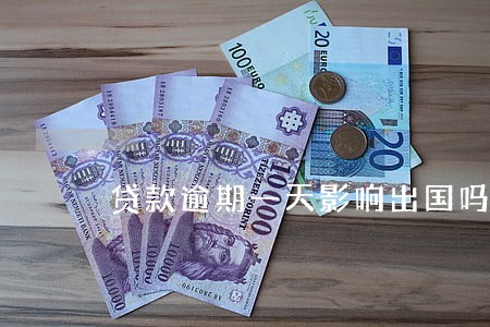 贷款逾期一天影响出国吗 贷款逾期一天影响出国吗