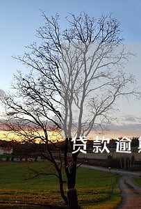 贷款逾期一天征信可以消除吗 贷款逾期一天征信可以消除吗