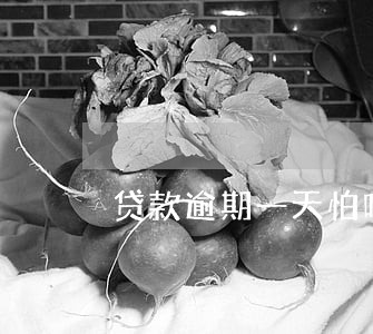 贷款逾期一天怕吗 贷款逾期一天怕吗