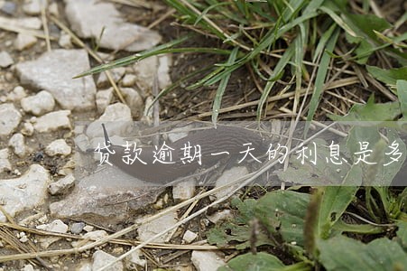 贷款逾期一天的利息是多少 贷款逾期一天的利息是多少