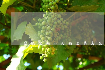 贷款逾期一天的后果是怎样 贷款逾期一天的后果是怎样