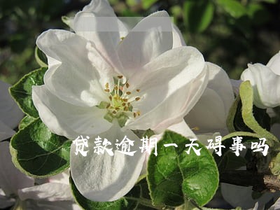 贷款逾期一天碍事吗 贷款逾期一天碍事吗