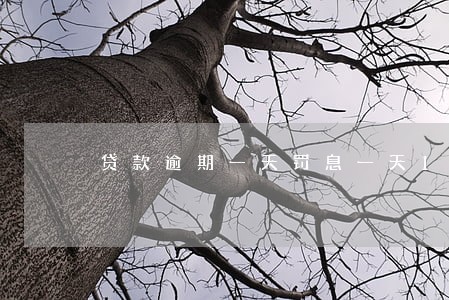 贷款逾期一天罚息一天10块 贷款逾期一天罚息一天10块