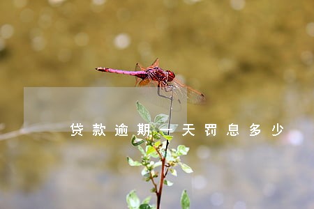 贷款逾期一天罚息多少