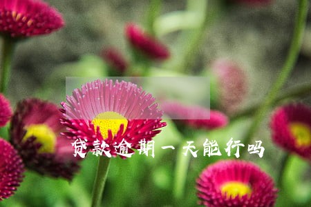 贷款逾期一天能行吗 贷款逾期一天能行吗